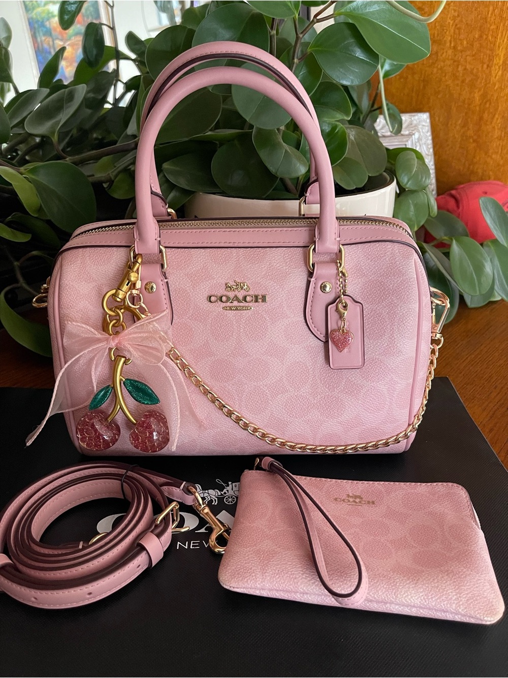 Coach Rowan Satchel in Powder Pink Signature Canvas with Matching Wristlet